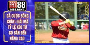 Blog M88 – Cập Nhật Tin Tức Và Sự Kiện Giải Trí Mới Nhất - ka99.mobi