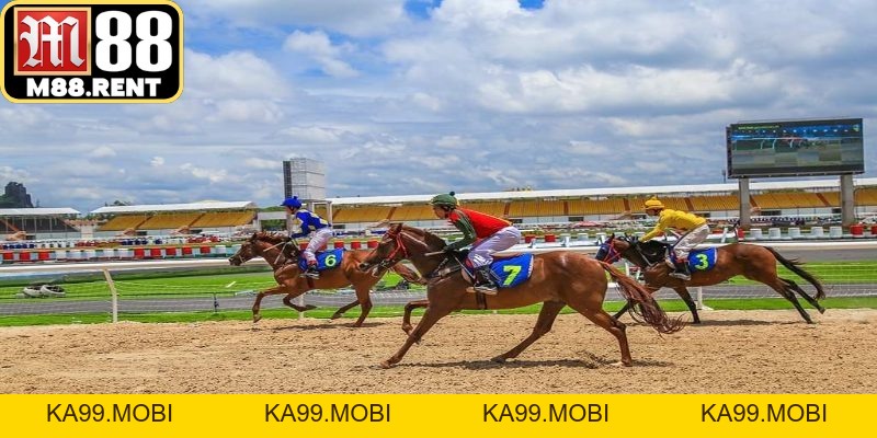 Cá Cược Đua Ngựa: Chiến Thuật Đầu Tư Sinh Lời 2026 - ka99.mobi