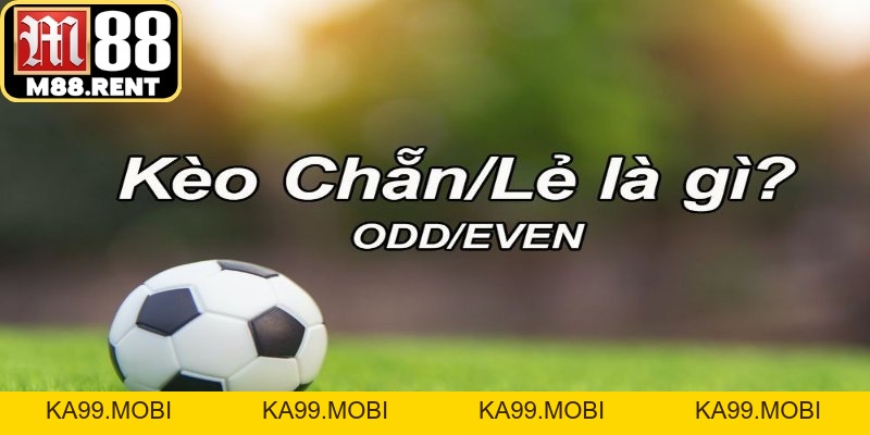 Cách Đặt Kèo Chẵn Lẻ Bóng Đá Chuẩn Xác Cho Người Mới - ka99.mobi