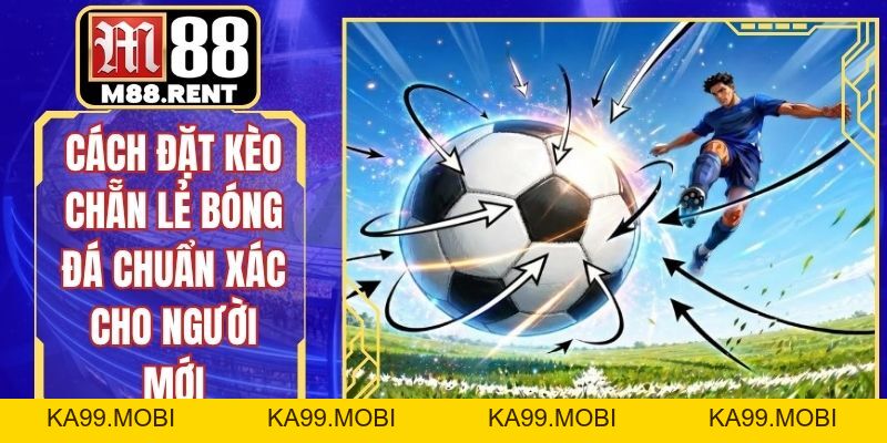 Cách Đặt Kèo Chẵn Lẻ Bóng Đá Chuẩn Xác Cho Người Mới - ka99.mobi
