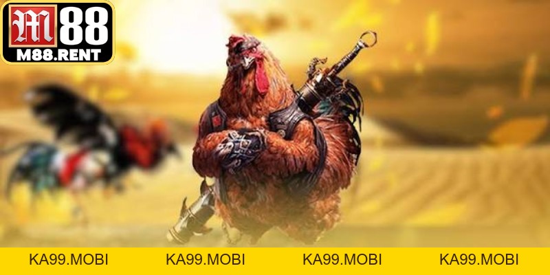 Đá Gà M88 - Những Điều Cần Biết Trước Khi Tìm Hiểu - ka99.mobi