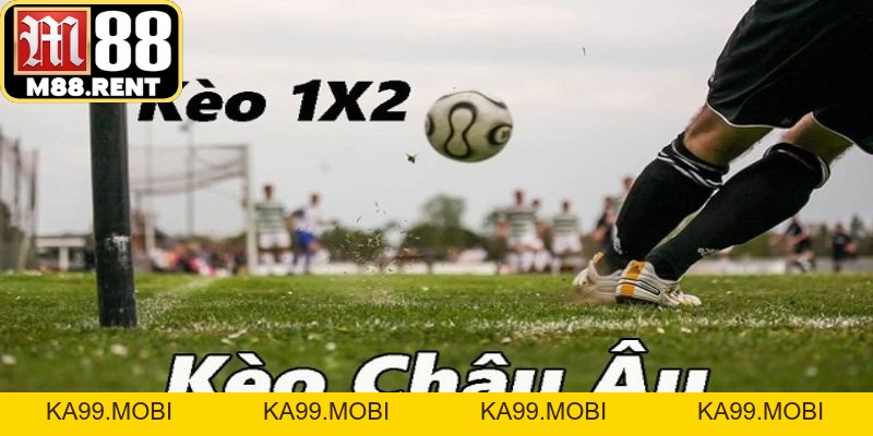 Kèo 1X2 Là Gì? Cách Chơi Bất Bại Cho Tất Cả Tân Thủ - ka99.mobi