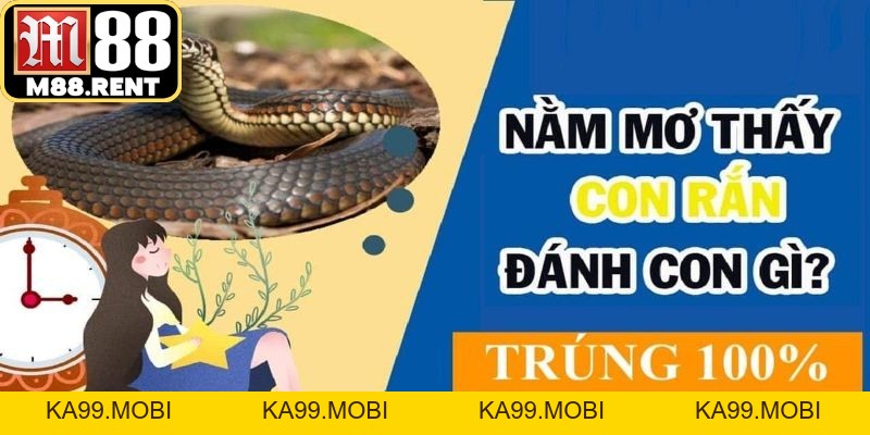 Nằm Mơ Thấy Rắn: Điềm Báo Đại Cát Hay Tai Họa Cận Kề? - ka99.mobi