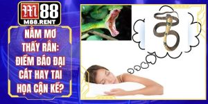 Blog M88 – Cập Nhật Tin Tức Và Sự Kiện Giải Trí Mới Nhất - ka99.mobi