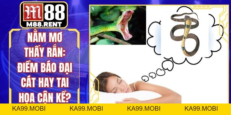 Nằm Mơ Thấy Rắn: Điềm Báo Đại Cát Hay Tai Họa Cận Kề? - ka99.mobi