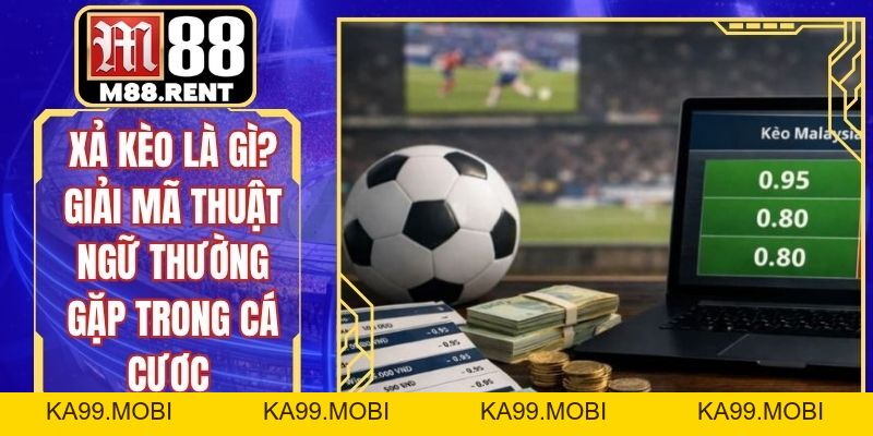Xả Kèo Là Gì? Giải Mã Thuật Ngữ Thường Gặp Trong Cá Cược - ka99.mobi